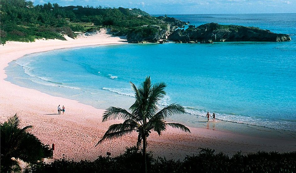 Bermuda pink beach