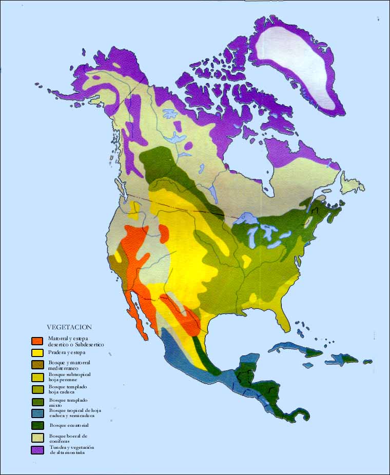 Vegetation Map of North America