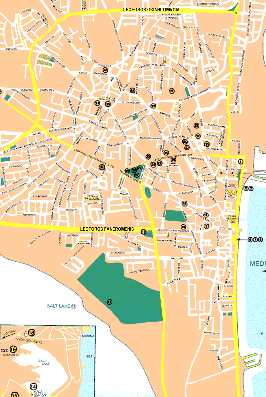 larnaca city map