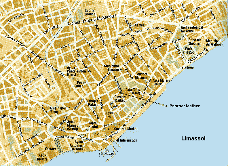 limassol regional map