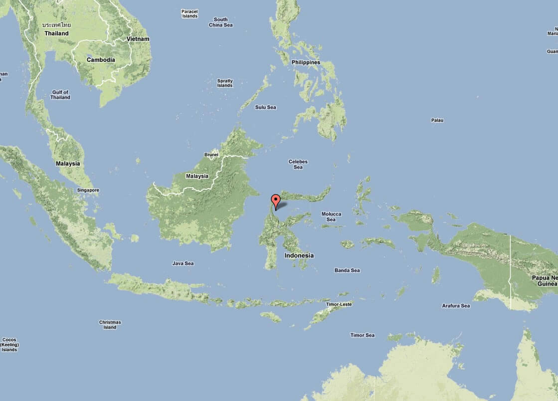 topographic map of indonesia
