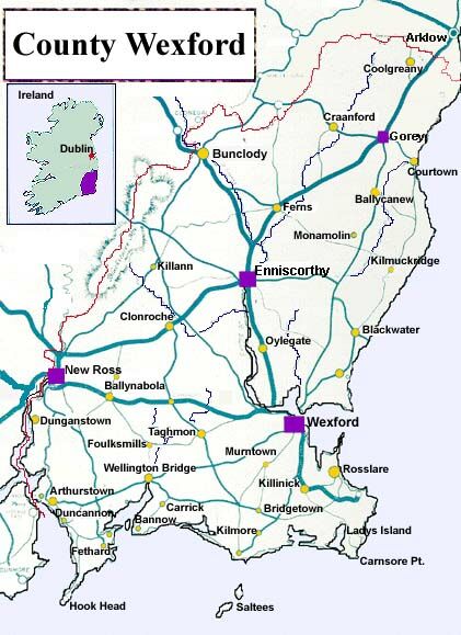 Wexford county map