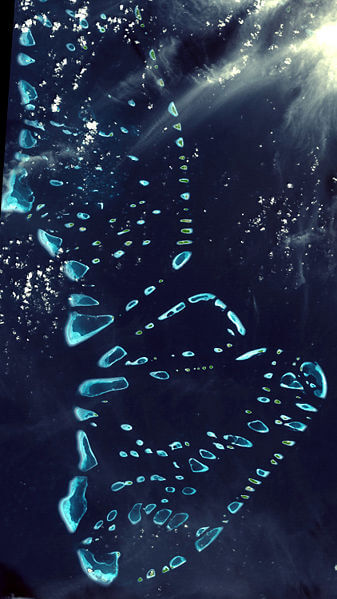 Maldives satellite map