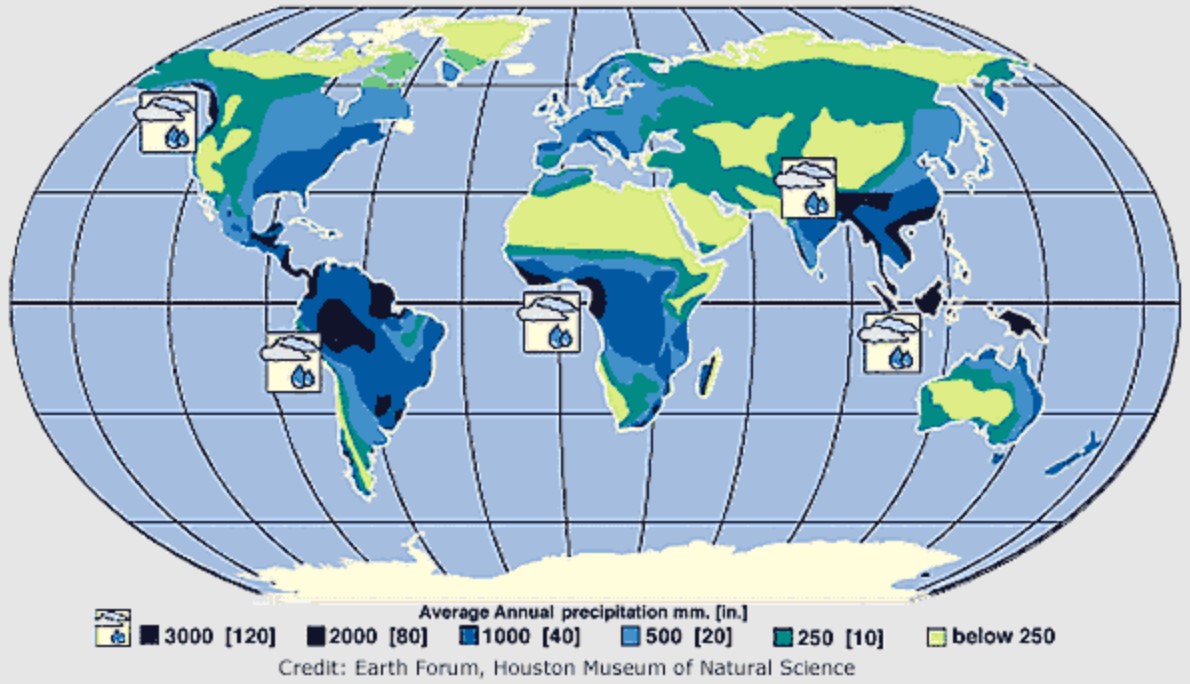 World Precipitation Map